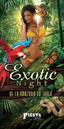 diseño de flyers exotic