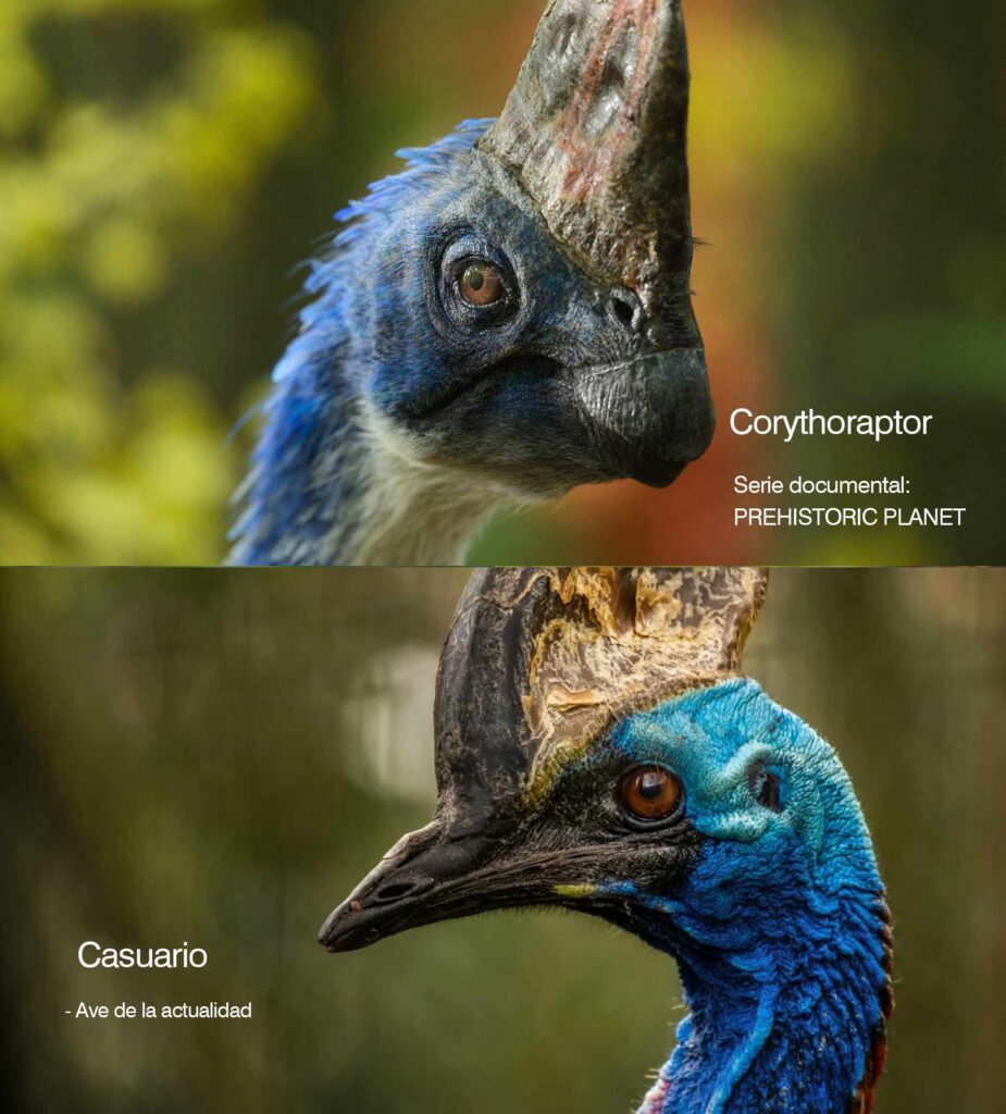 El dinosaurio Corythoraptor y el ave Casuario - Cassocomunicaciones